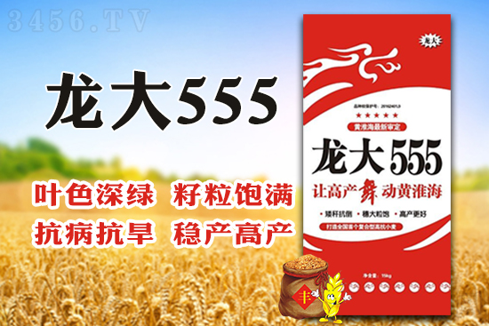 龙大555-小麦种子-龙大种业1.jpg
